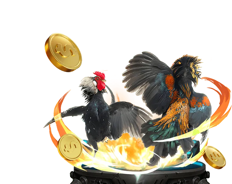 Hình ảnh minh họa cách trực tiếp da gà sử dụng dữ liệu để cải thiện dịch vụ